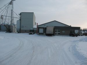 Front of plant in winter