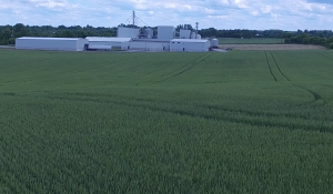 New Warehouse June 2018 - 5