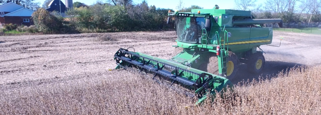 Combine harvesting soybeans